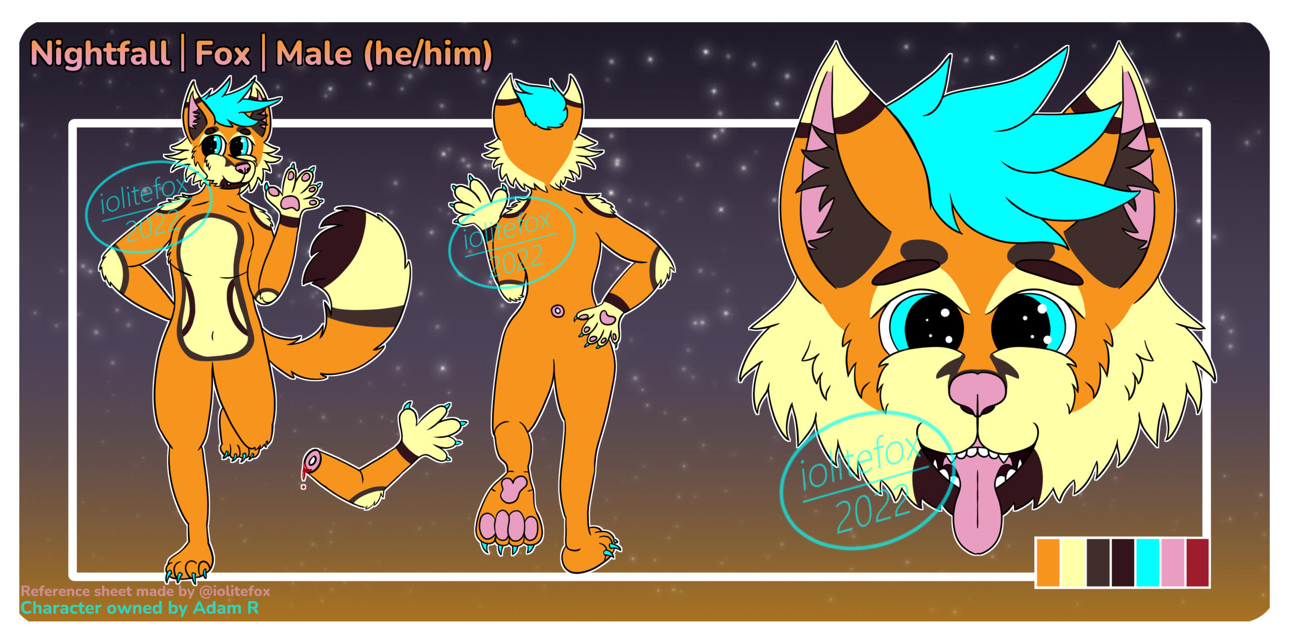 Reference sheet for Nightfall (Commission)