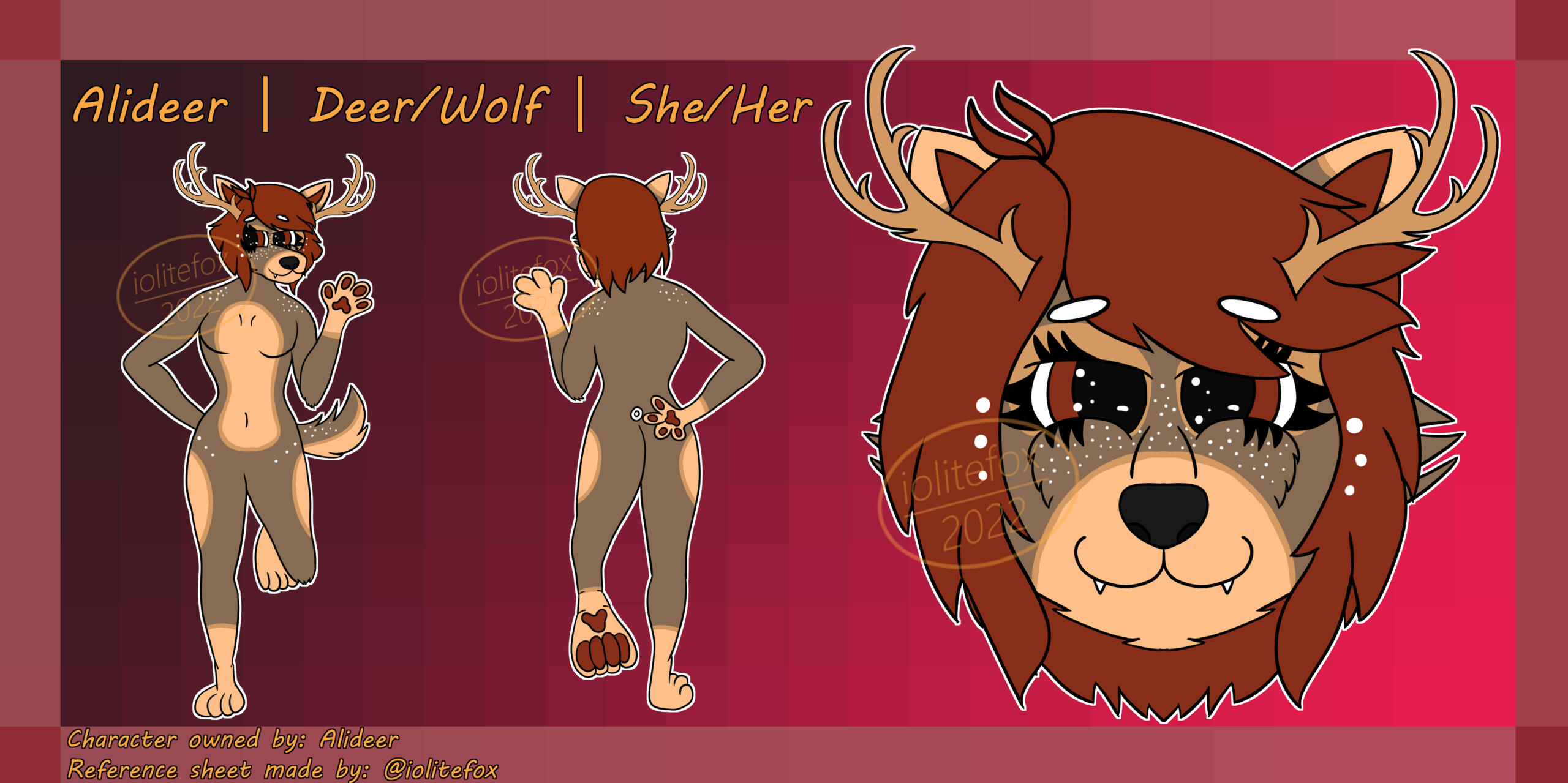 Reference sheet for Alideer (Commission)